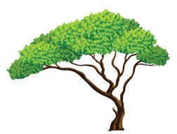 arborist helensvale