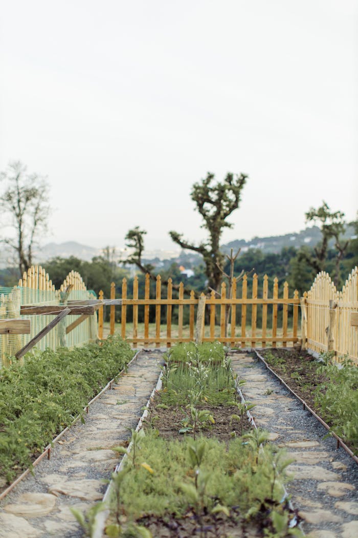 View of a Garden